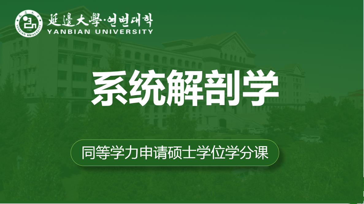 系统解剖学